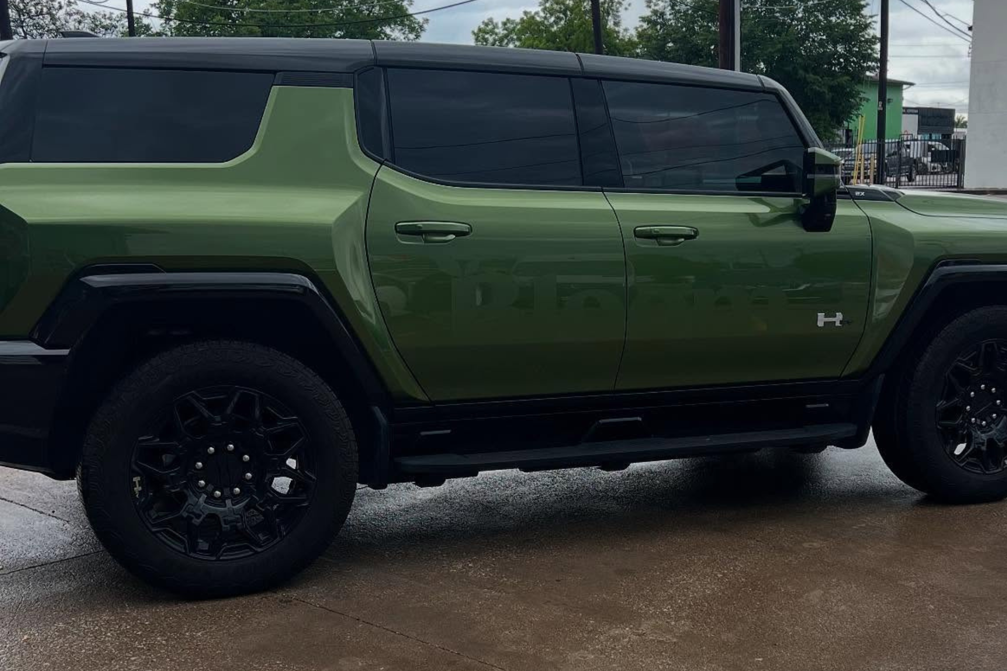 window tint